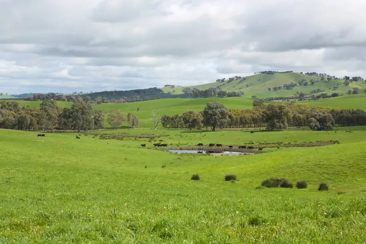 Fifth view of Homely rural property listing, 935 Highlands Road, Whiteheads Creek VIC 3660