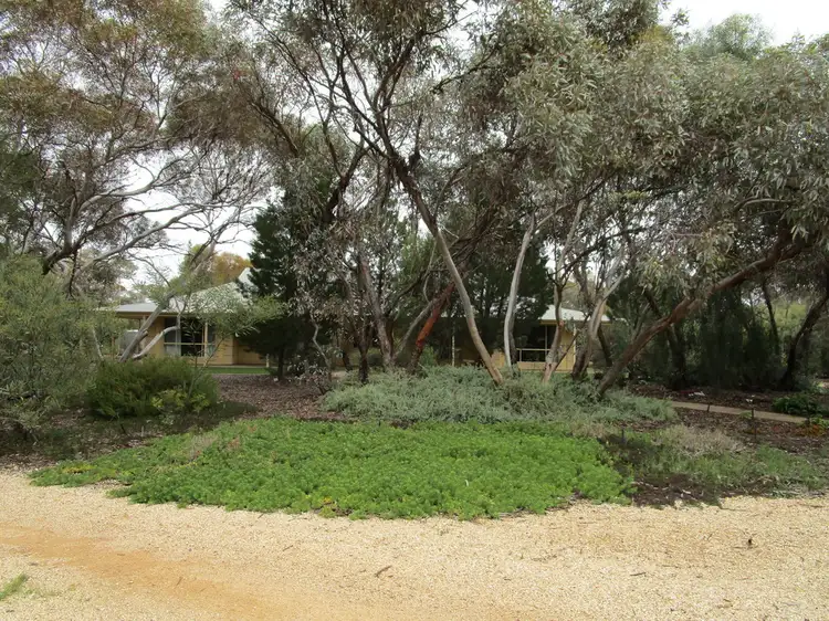 Fifth view of Homely house listing, 54 Slaughter Rd, Barmera SA 5345