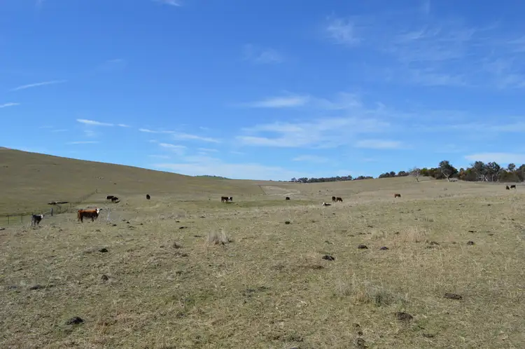 Fourth view of Homely rural property listing, 147 Collector Road, Gunning NSW 2581