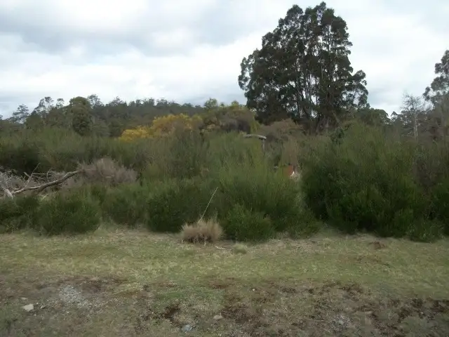 Second view of Homely land listing, 10 Walter Street, Rossarden TAS 7213