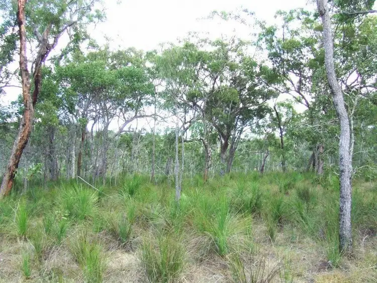 Seventh view of Homely rural property listing, lot 221 Murphy Road, Captain Creek QLD 4677