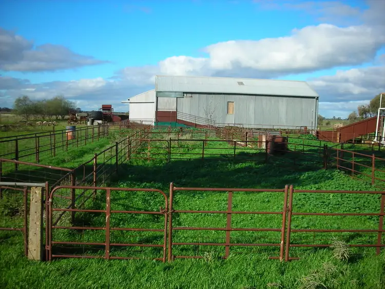 Fourth view of Homely rural property listing, 1307 Kooba Road, Whitton NSW 2705