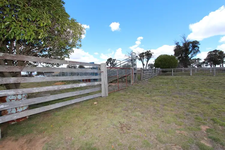 Sixth view of Homely rural property listing, 2097 Mitchell Highway, Vittoria NSW 2799