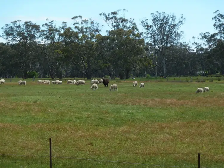 Fifth view of Homely rural property listing, 330 Yankee Flat Road, Navigators VIC 3352
