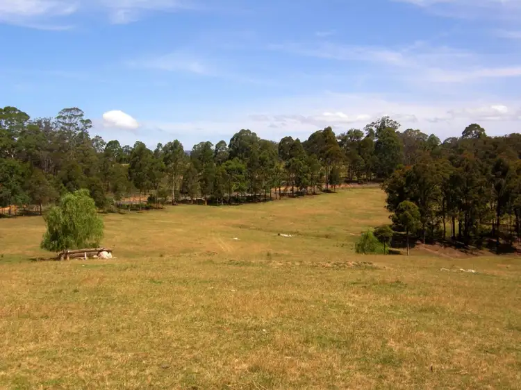 Fourth view of Homely rural property listing, 481 Myrtle Mountain Road, Wyndham NSW 2550