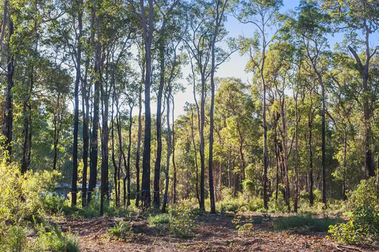 Fifth view of Homely land listing, Lot 39 (28) Tinglewood Court, Cowaramup WA 6284