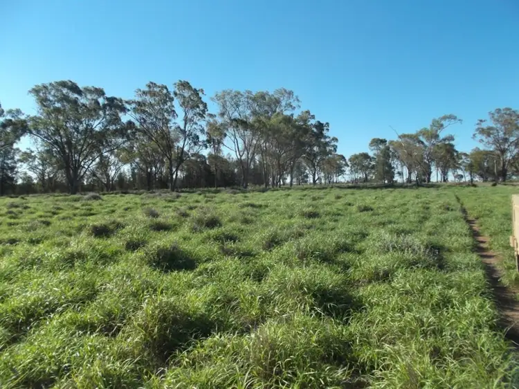 Main view of Homely rural property listing, Lot 5 WV355, Roma QLD 4455