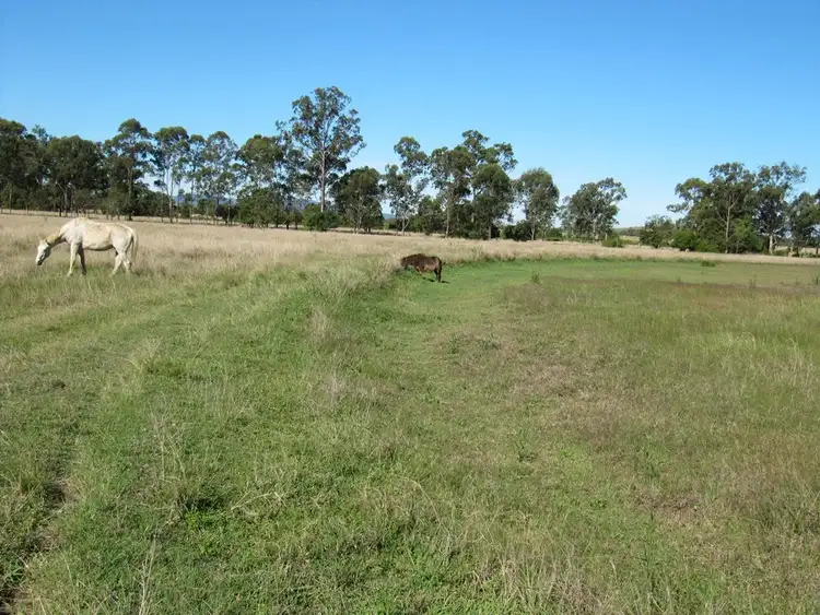 Fourth view of Homely rural property listing, 119 Dunnetts Road, Bracewell QLD 4695