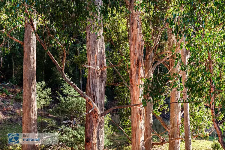 Fifth view of Homely land listing, Lot 2 Rose Lane, Flowerpot TAS 7163