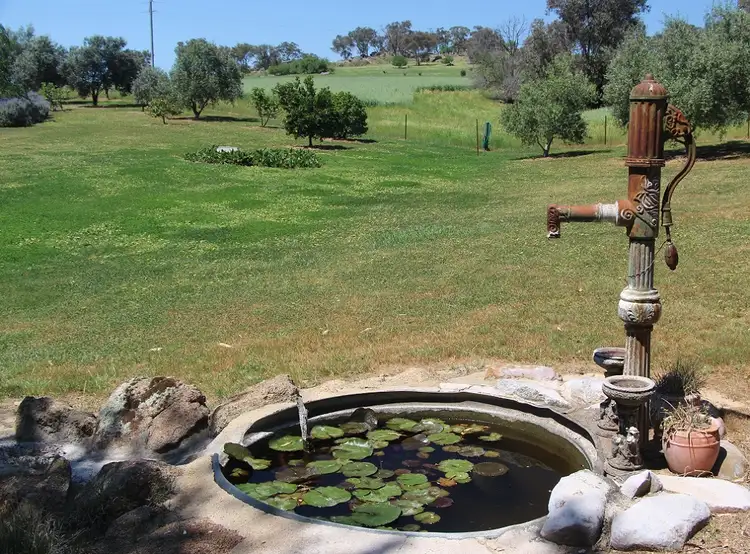 Seventh view of Homely house listing, 189 Spring Creek Road, Young NSW 2594