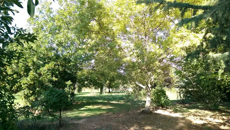 Seventh view of Homely rural property listing, 34 Radnedge Lane, Orange NSW 2800