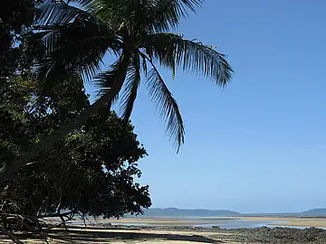 6 Yumba Close, Wonga Beach QLD 4873