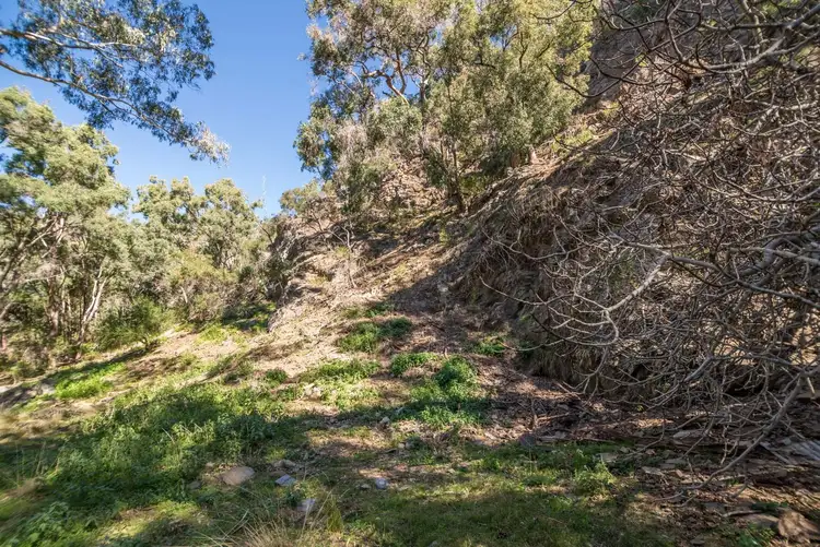 Sixth view of Homely rural property listing, Lot 52 Highland Home Road, Mudgee NSW 2850