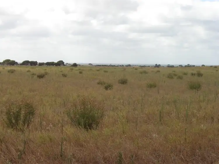 Fifth view of Homely rural property listing, 452 Morris Road, Tumby Bay SA 5605