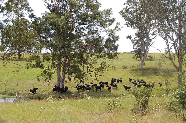 Seventh view of Homely rural property listing, Lot 4 Clarence Way, SANDILANDS via, Mallanganee NSW 2469
