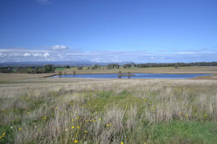 Second view of Homely rural property listing, Lot 99 Coppabella Rd, Rosewood NSW 2652