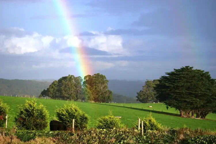 2620 Grand Ridge Road, Hallston VIC 3953