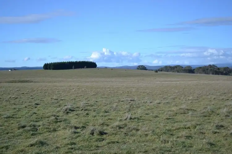 Main view of Homely rural property listing, 99 Coppabella Road, Rosewood NSW 2652