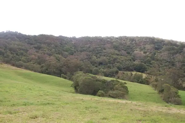 Third view of Homely rural property listing, Address available on request
