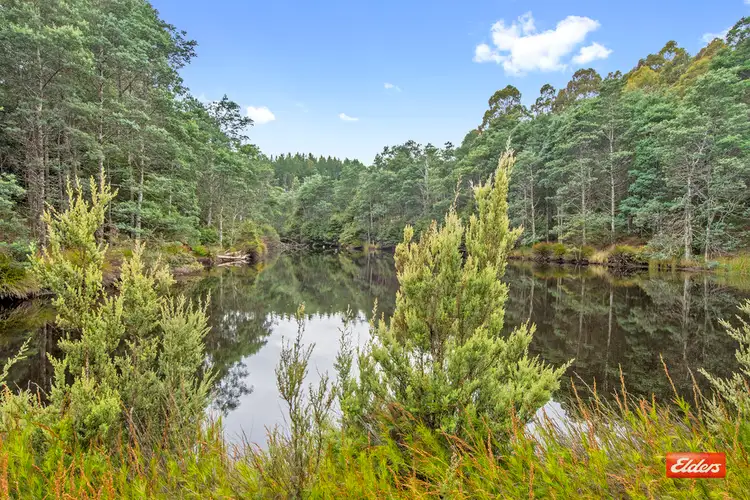 Third view of Homely rural property listing, 1033 Upper Natone Road, Upper Natone TAS 7321