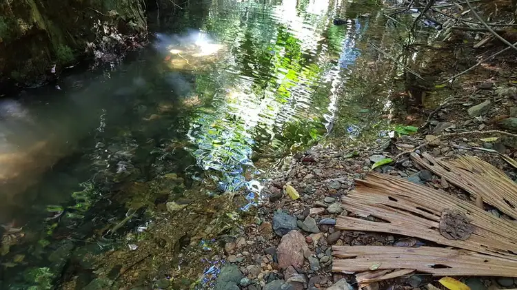 Fifth view of Homely land listing, Lot 514 Silver Ash Road, Daintree QLD 4873
