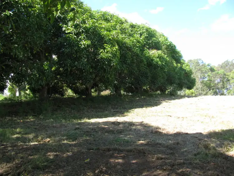 Sixth view of Homely land listing, 59 Driers Road, Cooran QLD 4569