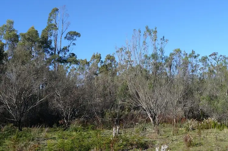 Seventh view of Homely land listing, Lot 1 Arthur Highway, Murdunna TAS 7178