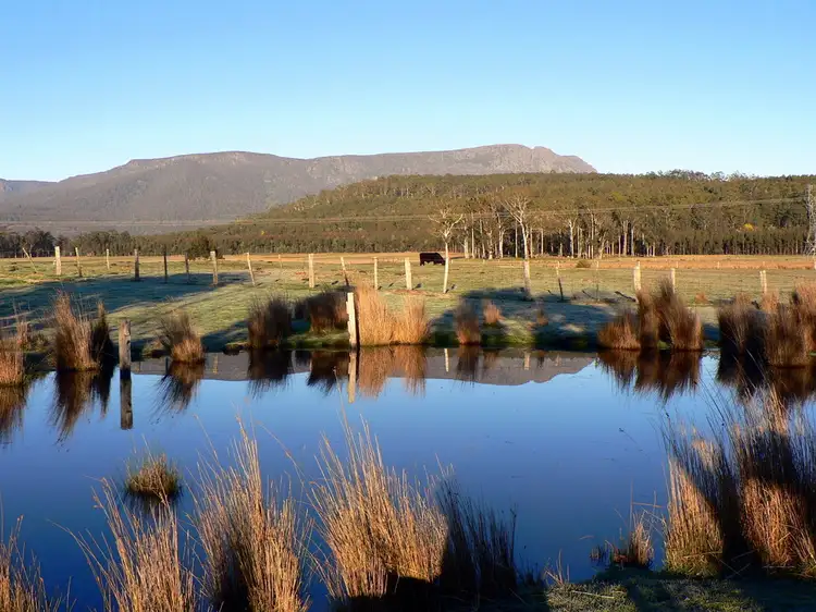 Main view of Homely house listing, 1136 Liffey Road, Liffey TAS 7301