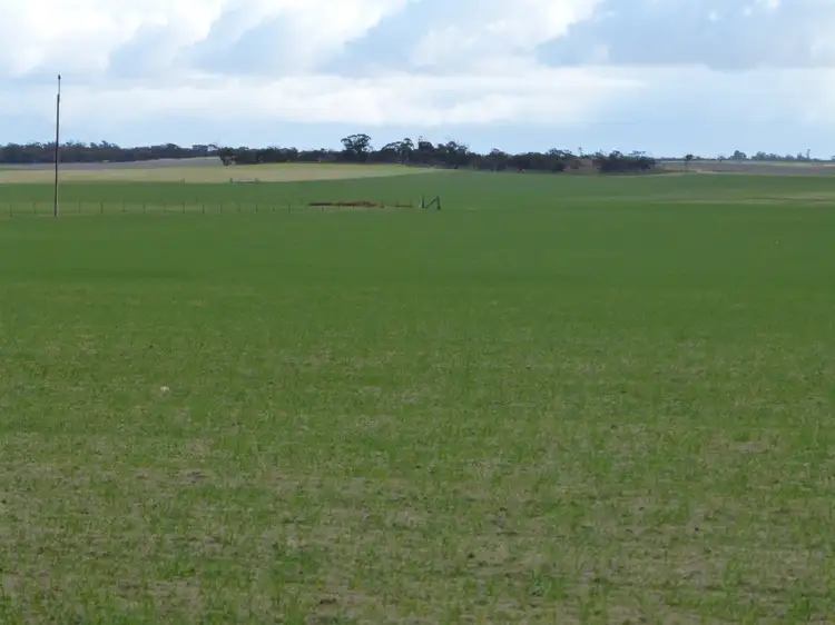 Seventh view of Homely rural property listing, 36 Haeusler Road, Lameroo SA 5302