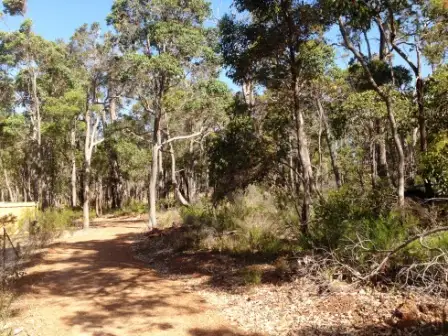 Second view of Homely land listing, 5 (Lot 319) Wandoo Place, Cowaramup WA 6284