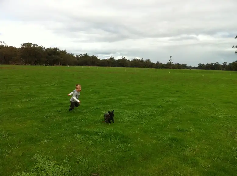 Main view of Homely land listing, Lot 211 Bourne Loop, Stratham WA 6237