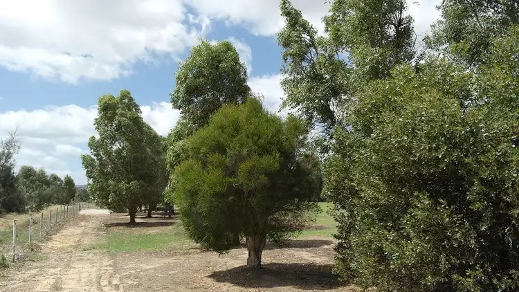 Sixth view of Homely land listing, Lot 800 Botica Close, Cardup WA 6122