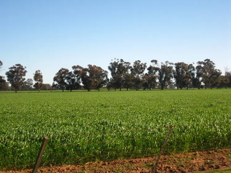 Fourth view of Homely rural property listing, 591 Warrangoon Siding Road, Mulwala NSW 2647