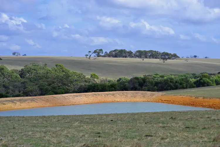 Seventh view of Homely rural property listing, 844 Harriet Road, Newland SA 5223