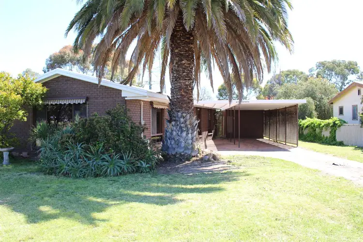 97 Park Terrace, Bordertown SA 5268