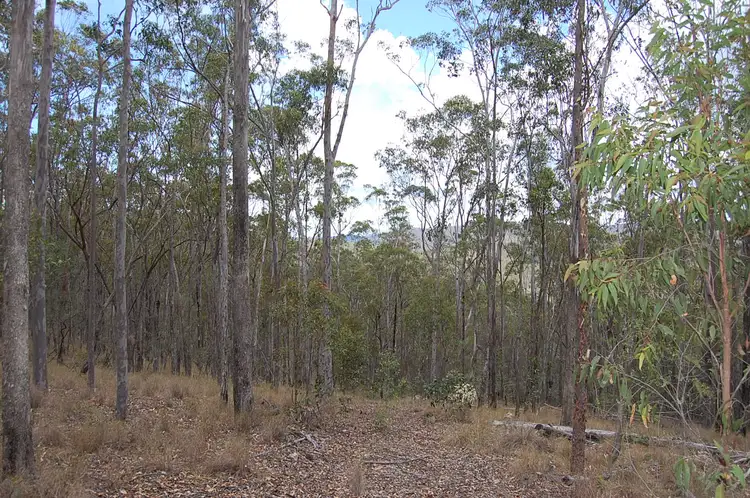 Third view of Homely rural property listing, Lot 70 Fairfield Road, Drake NSW 2469
