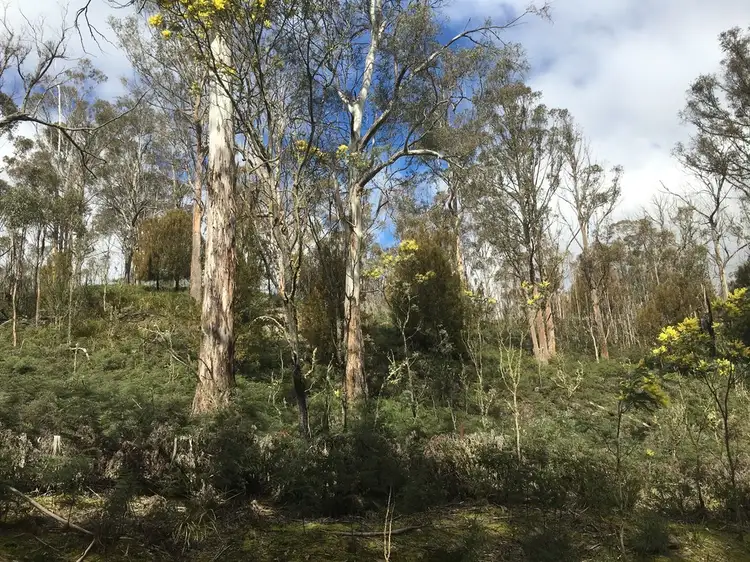 Main view of Homely land listing, 970 Marked Tree Road, Gretna TAS 7140