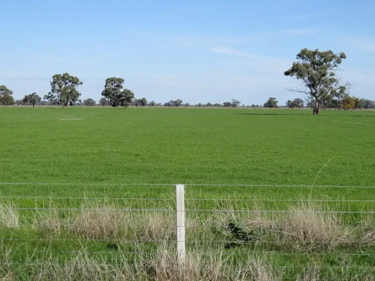 Sixth view of Homely rural property listing, RMB 185 Hetherington Road, Deniliquin NSW 2710