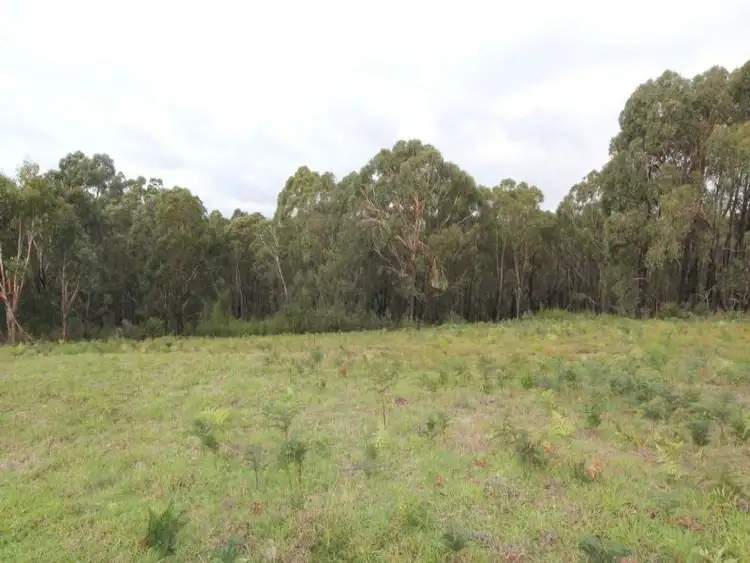Main view of Homely rural property listing, 8 Gilfedder Terrace, Mirboo North VIC 3871