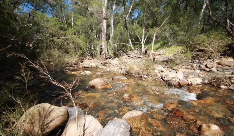 Fourth view of Homely rural property listing, 2647 Kaputar Road, Narrabri NSW 2390