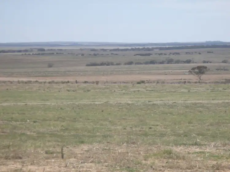 Sixth view of Homely rural property listing, 212 Petras Road, Karoonda SA 5307