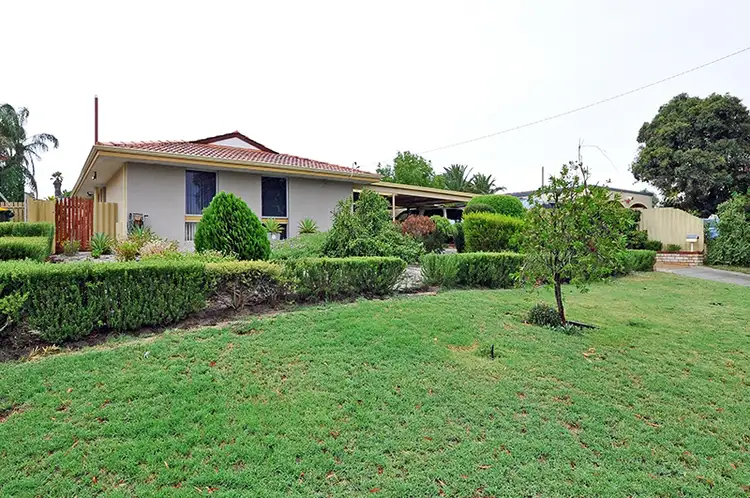 Main view of Homely house listing, 46 Hurlston Way, Koondoola WA 6064