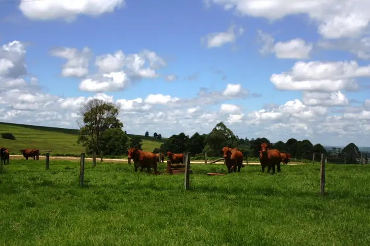 Sixth view of Homely rural property listing, Address available on request