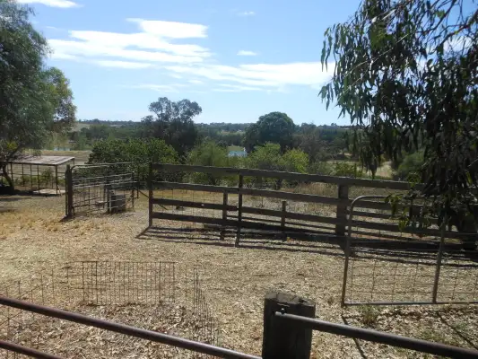 Seventh view of Homely rural property listing, 81 Tierneys Road, Young NSW 2594