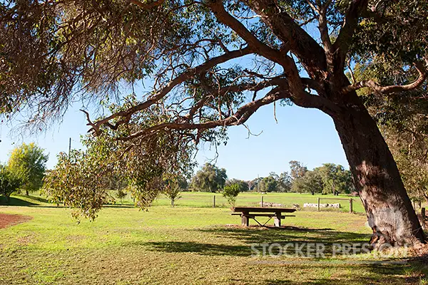 245 Boallia Rd, Ambergate WA 6280