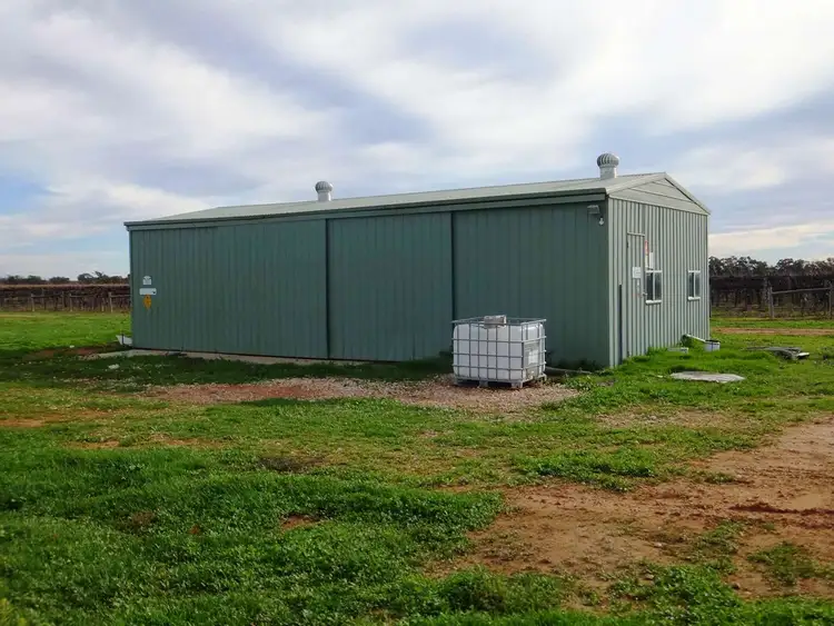 Third view of Homely rural property listing, . Edey Road (Vineyard), Red Cliffs VIC 3496