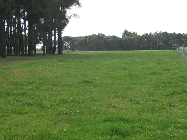Sixth view of Homely rural property listing, 274 Wilson Road, Mount Barker WA 6324