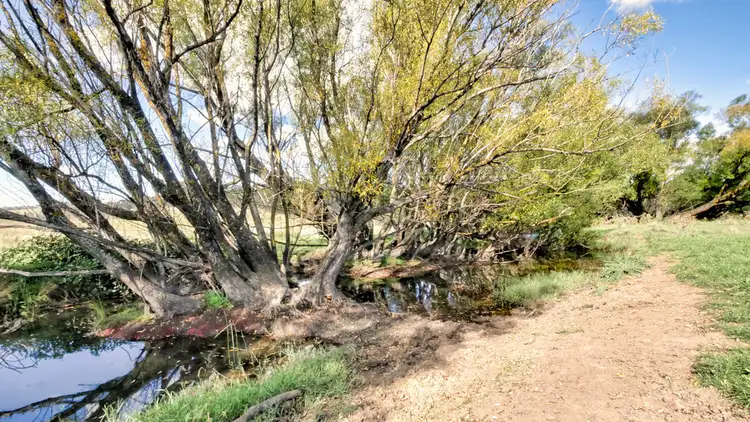 Sixth view of Homely rural property listing, 192 Summer Hill Lane, Orange NSW 2800