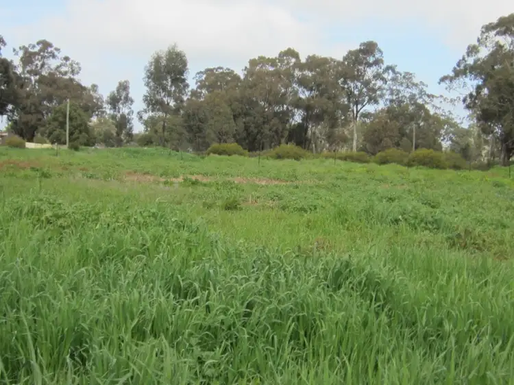 Second view of Homely land listing, 17-19 Hill Street, Ganmain NSW 2702