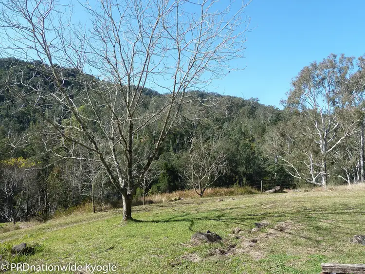 Fourth view of Homely rural property listing, 279 Sawpit Creek road, Kyogle NSW 2474